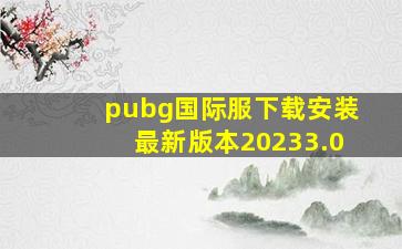 pubg国际服下载安装最新版本20233.0