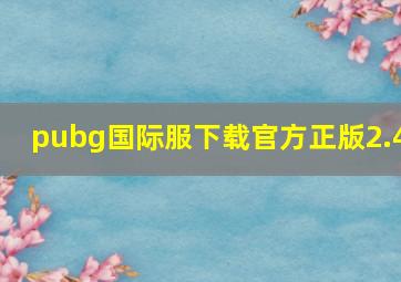 pubg国际服下载官方正版2.4