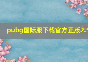 pubg国际服下载官方正版2.5