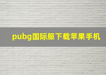 pubg国际服下载苹果手机