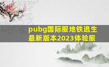 pubg国际服地铁逃生最新版本2023体验服