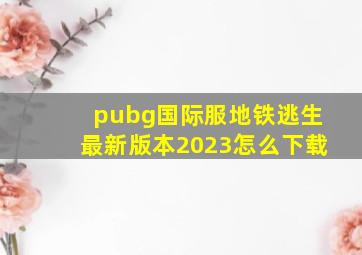 pubg国际服地铁逃生最新版本2023怎么下载