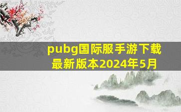 pubg国际服手游下载最新版本2024年5月