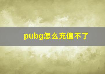 pubg怎么充值不了