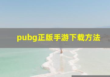 pubg正版手游下载方法