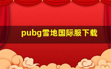 pubg雪地国际服下载