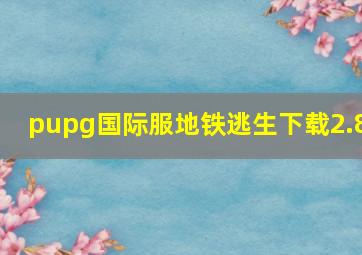 pupg国际服地铁逃生下载2.8