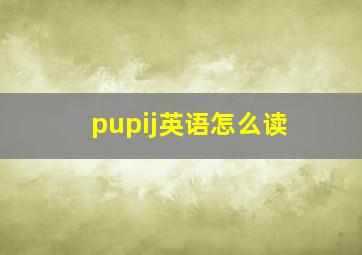 pupij英语怎么读