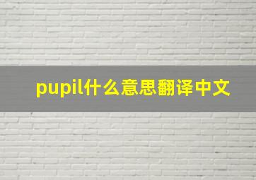 pupil什么意思翻译中文