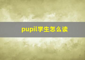 pupil学生怎么读