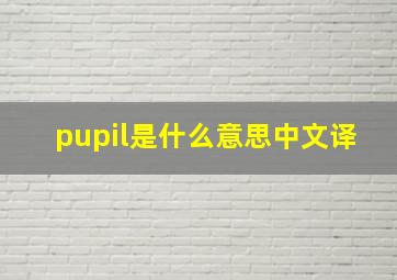 pupil是什么意思中文译