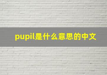 pupil是什么意思的中文