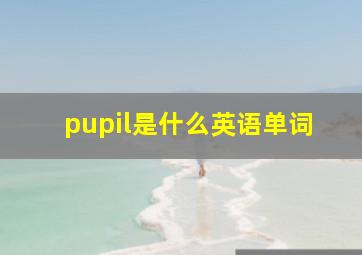 pupil是什么英语单词