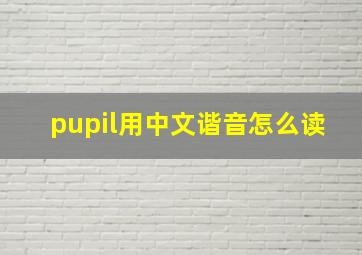 pupil用中文谐音怎么读