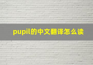 pupil的中文翻译怎么读