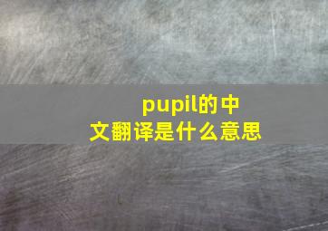 pupil的中文翻译是什么意思