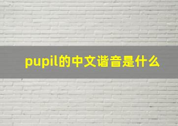 pupil的中文谐音是什么