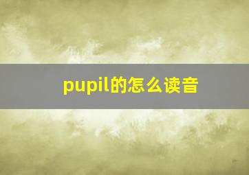 pupil的怎么读音