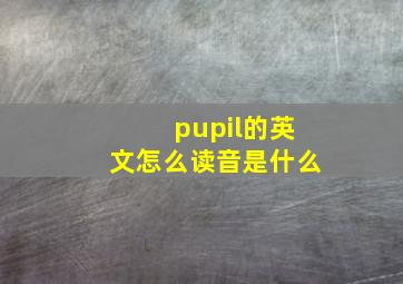 pupil的英文怎么读音是什么