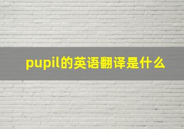 pupil的英语翻译是什么