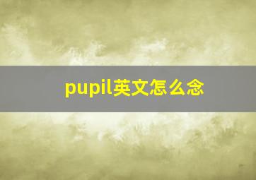 pupil英文怎么念