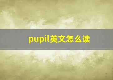 pupil英文怎么读