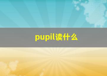 pupil读什么