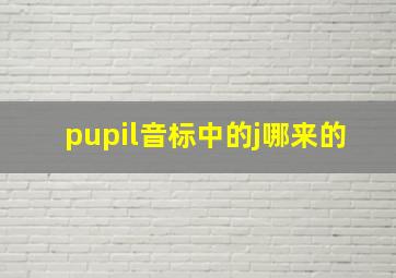 pupil音标中的j哪来的