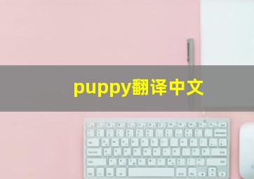 puppy翻译中文