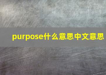 purpose什么意思中文意思