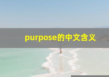 purpose的中文含义