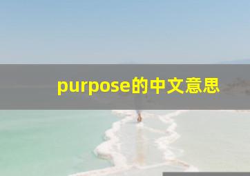 purpose的中文意思