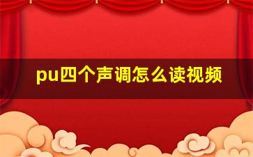 pu四个声调怎么读视频