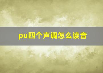 pu四个声调怎么读音