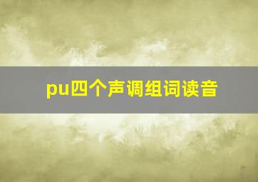 pu四个声调组词读音