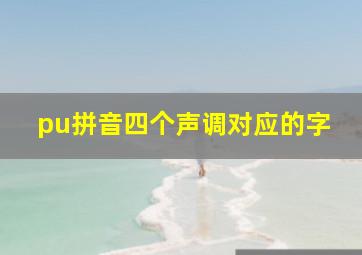 pu拼音四个声调对应的字