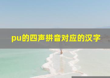 pu的四声拼音对应的汉字