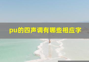 pu的四声调有哪些相应字