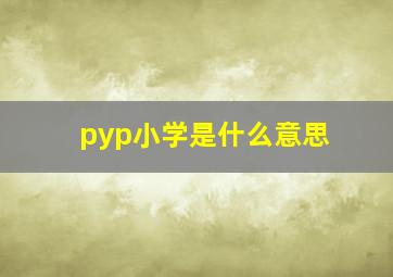 pyp小学是什么意思