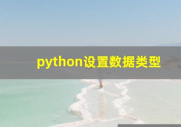 python设置数据类型