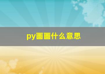 py画画什么意思