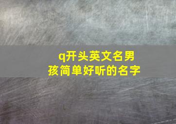 q开头英文名男孩简单好听的名字