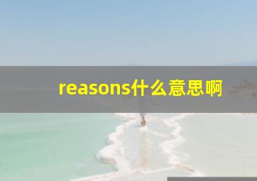 reasons什么意思啊