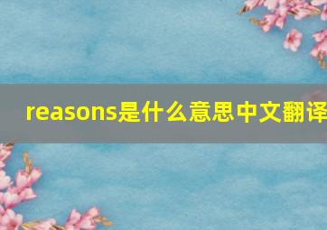 reasons是什么意思中文翻译