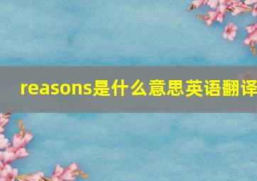 reasons是什么意思英语翻译