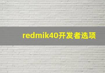 redmik40开发者选项