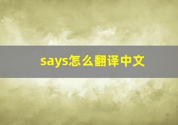 says怎么翻译中文