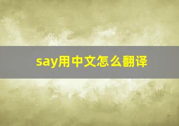 say用中文怎么翻译