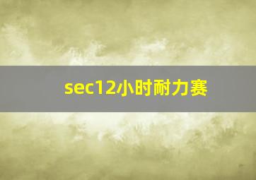 sec12小时耐力赛