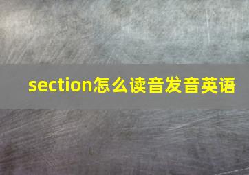 section怎么读音发音英语